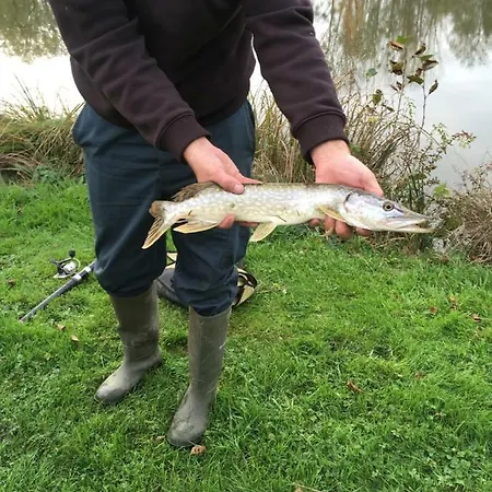 Des Etangs De Bairon Et Ses Environs *